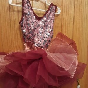 Pink/Maroon Sequin Ballet Costume Tutu